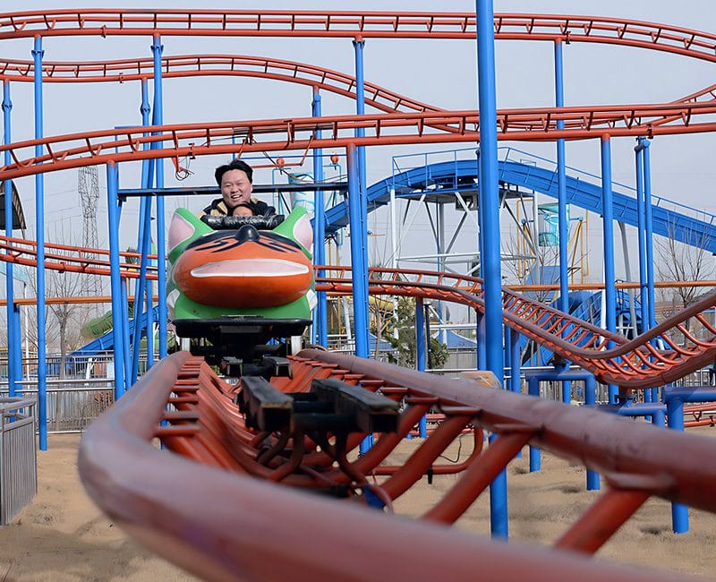 wild mouse roller coaster for a small theme park
